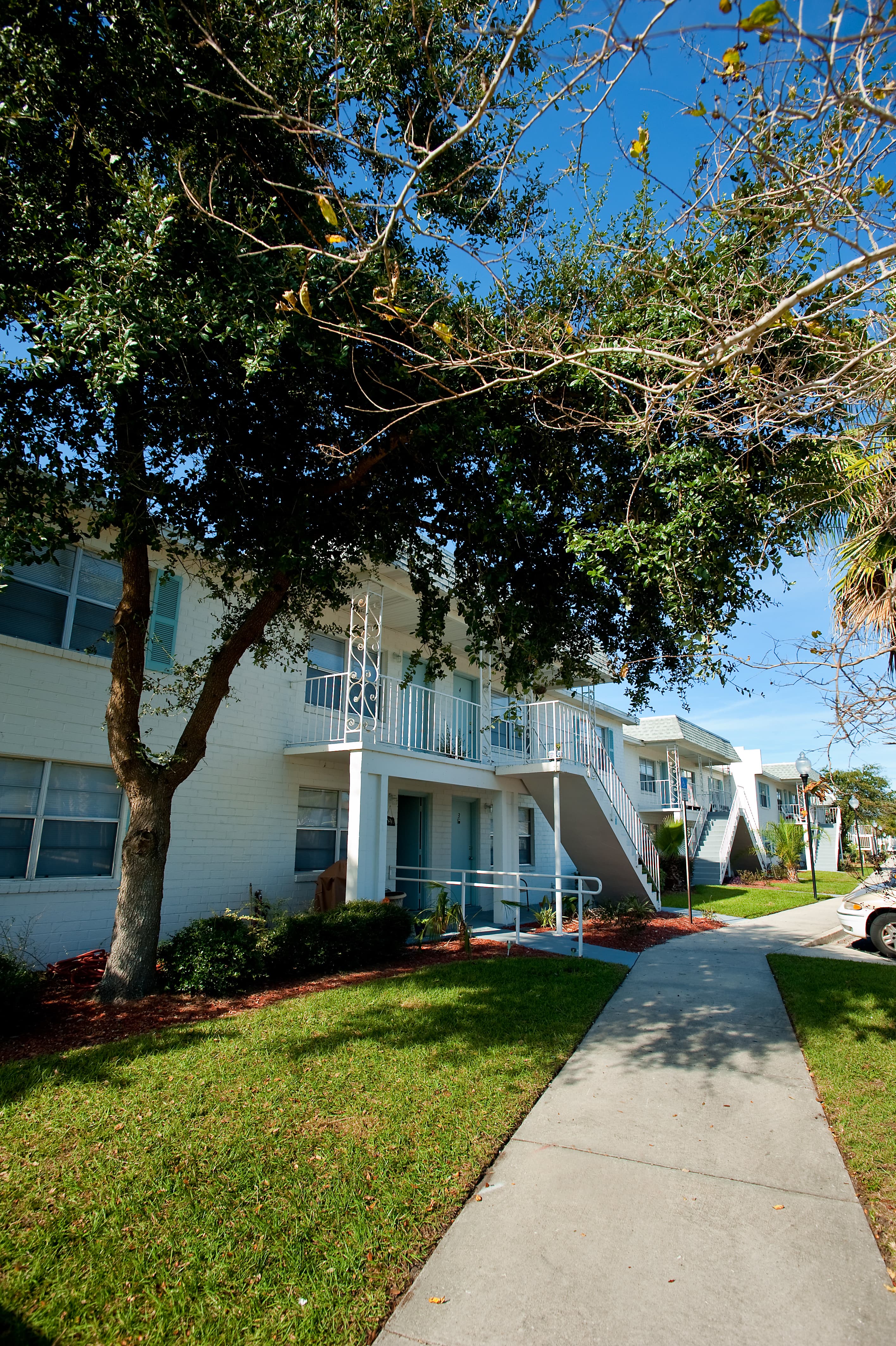 Building Exterior - Tree-Lined Walkway