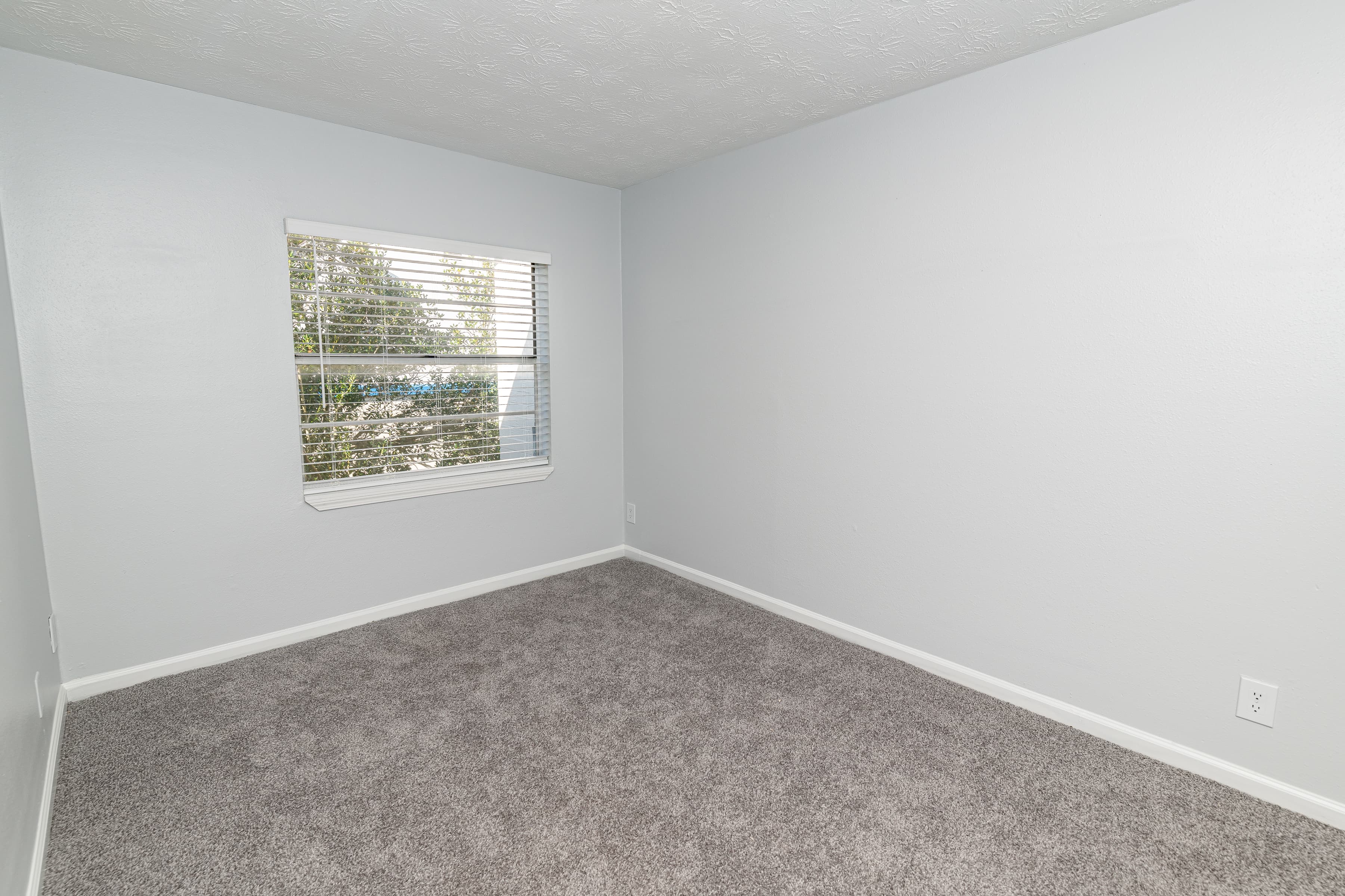 Living Room Decor